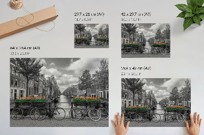 Decorative canvas print A charming view of the canal, bicycles, tulips, black and orange
