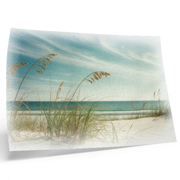 Poster Beach grass ocean sky peace