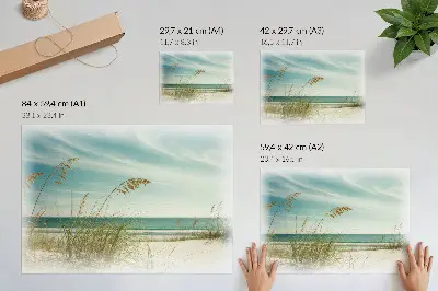 Poster beach grass by the ocean under a peaceful sky