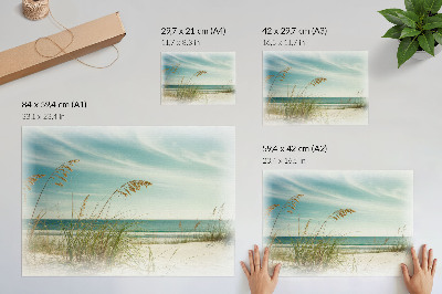 Poster Beach grass ocean sky peace