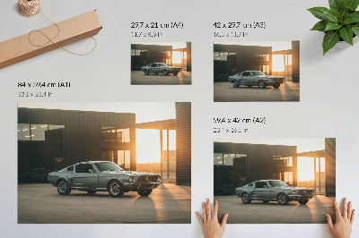 Poster A classic car with an architectural backdrop