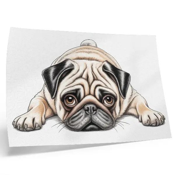 Dog illustration poster with a cozy aesthetic and warm color palette