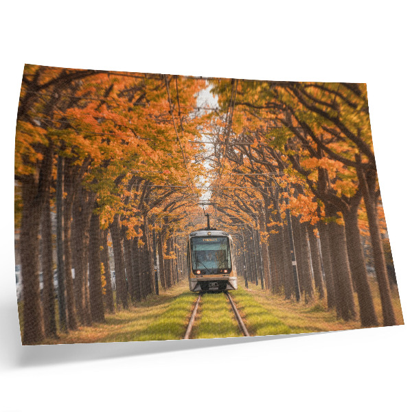 Photo canvas Autumn tunnel with a tram in the middle