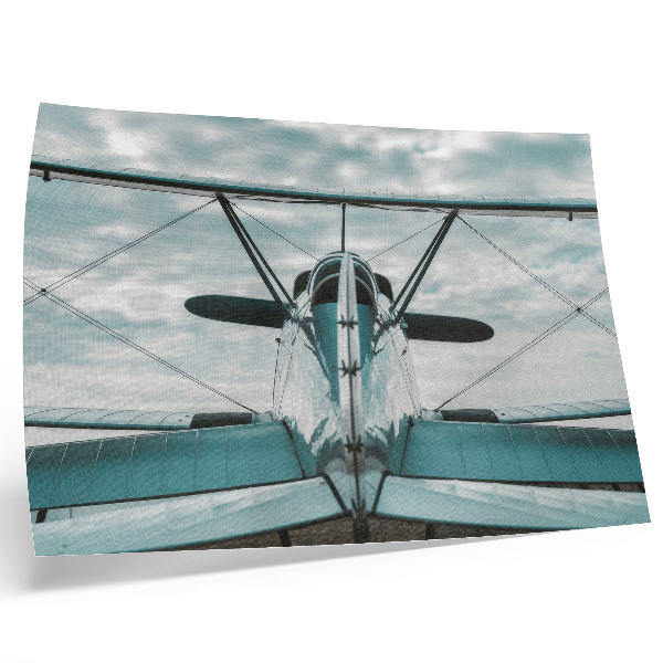 Poster Front view of a biplane, industrial elegance