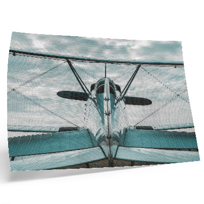 Poster Front view of a biplane, industrial elegance
