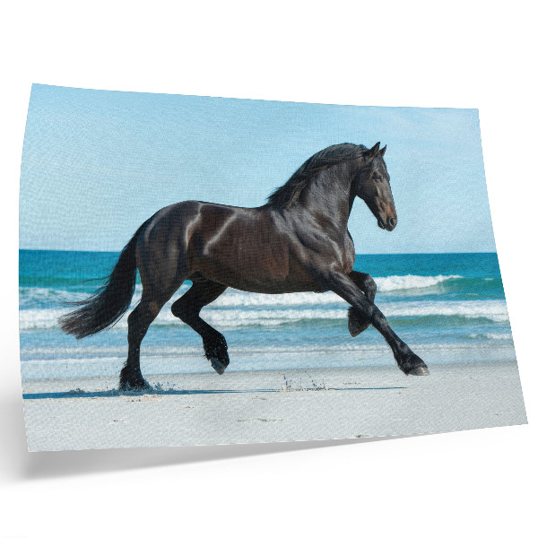 Poster Horse galloping coast blue sky