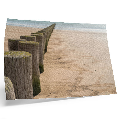 Decorative canvas print Wooden stakes beach sea peace nature