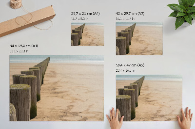 Decorative canvas print Wooden stakes beach sea peace nature