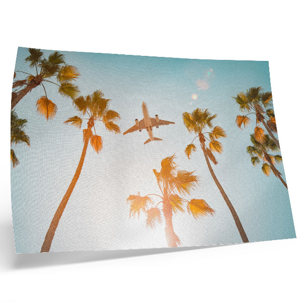 Poster Airplane palm trees blue sky tropical climate