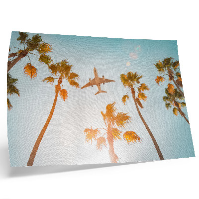 Poster Airplane palm trees blue sky tropical climate