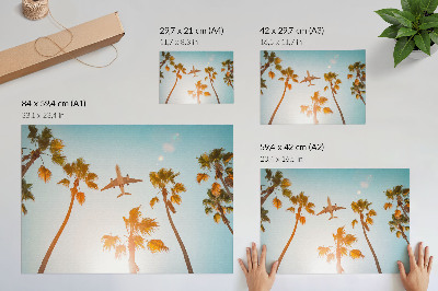 Poster Airplane palm trees blue sky tropical climate
