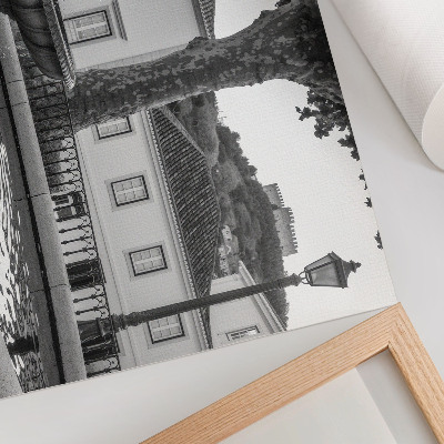 Photo canvas Black and white fountain classic buildings castle
