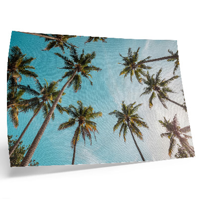Poster Palm trees against the blue background, the peaceful atmosphere of nature