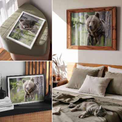 Photo canvas A bear in a forest full of natural charm