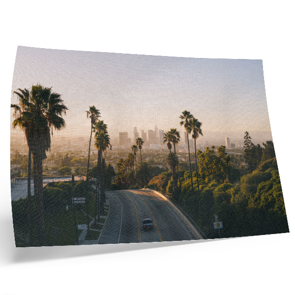 Photo canvas Palm trees and the city skyline in the sunshine