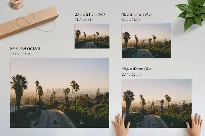 Photo canvas palm trees and city skyline in the sunshine