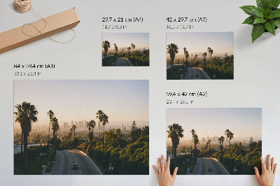 Photo canvas Palm trees and the city skyline in the sunshine