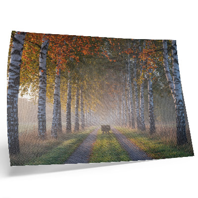 Poster Symmetrical birches, foggy light, autumn alley