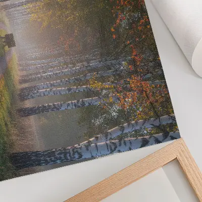 Poster symmetrical birches in a foggy autumn alley
