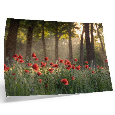 Photo canvas Red poppies green forest sun rays