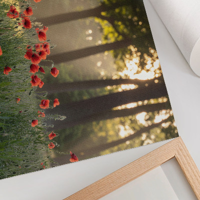 Photo canvas Red poppies green forest sun rays