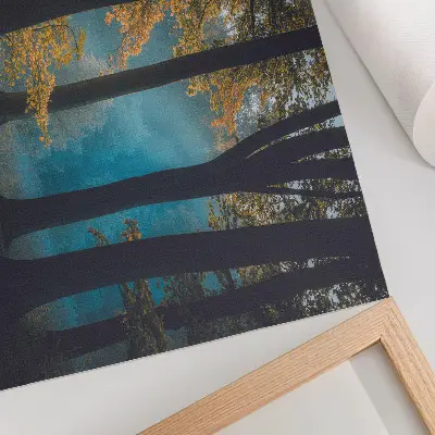 Poster quiet forest with morning sun and colorful leaves