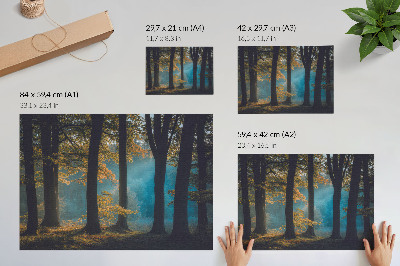 Poster Quiet forest, morning sun, colorful leaves