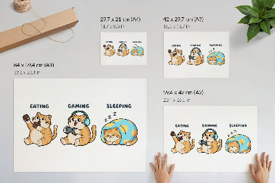 Poster Funny cats illustrations cute fun