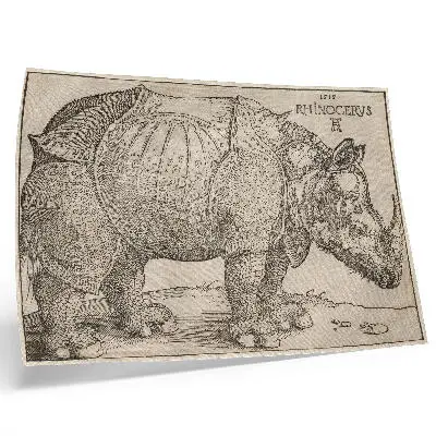 Rhinoceros (1515) by Albrecht Dürer poster