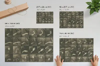 Animal Locomotion, Plate 535 (1887) by Eadweard Muybridge decorative canvas print