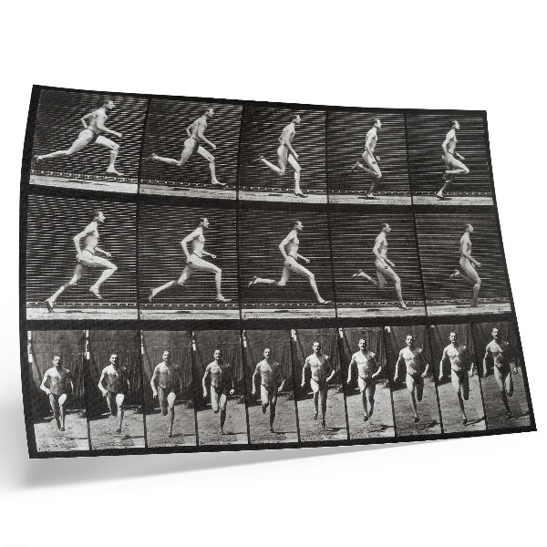 Photo canvas Plate 60 of Animal Locomotion (1887) photographed by Eadweard Muybridge