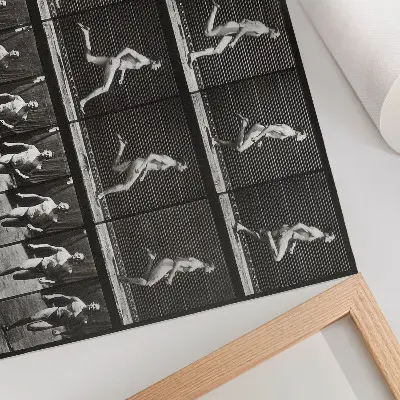 Photo canvas Plate 60 of Animal Locomotion (1887) by Eadweard Muybridge