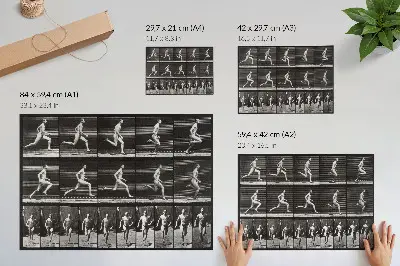 Photo canvas Plate 60 of Animal Locomotion (1887) by Eadweard Muybridge