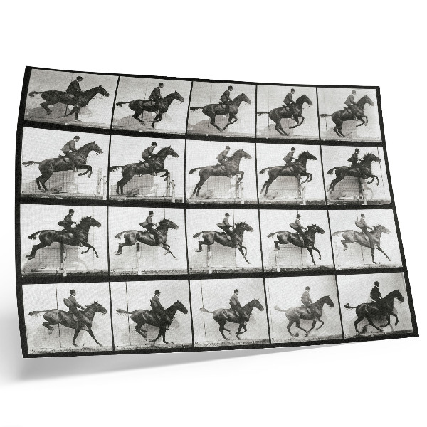 Decorative canvas print Animal Locomotion Plate 640 (1887), horseback riding photographed by Eadweard Muybridge