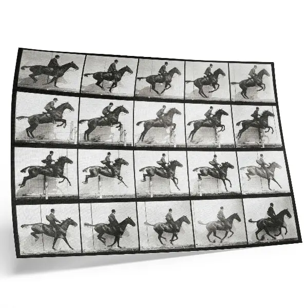 Animal Locomotion Plate 640 by Eadweard Muybridge decorative canvas print of horseback riding from 1887
