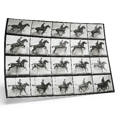 Animal Locomotion Plate 640 by Eadweard Muybridge decorative canvas print of horseback riding from 1887