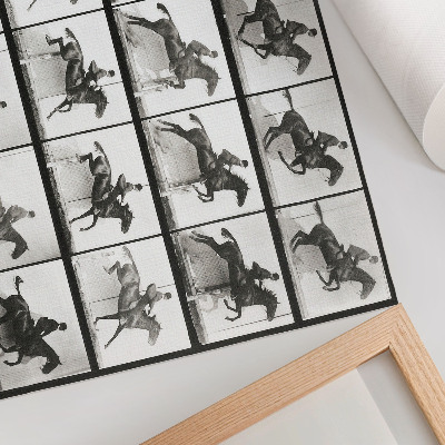 Decorative canvas print Animal Locomotion Plate 640 (1887), horseback riding photographed by Eadweard Muybridge