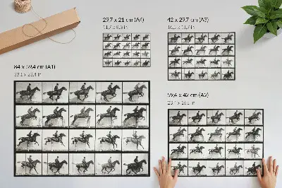 Animal Locomotion Plate 640 by Eadweard Muybridge decorative canvas print of horseback riding from 1887