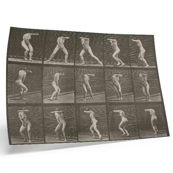 Eadweard Muybridge Turning in surprise and fleeing 1887 poster plate number 73