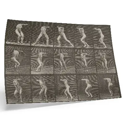Eadweard Muybridge Turning in surprise and fleeing 1887 poster plate number 73