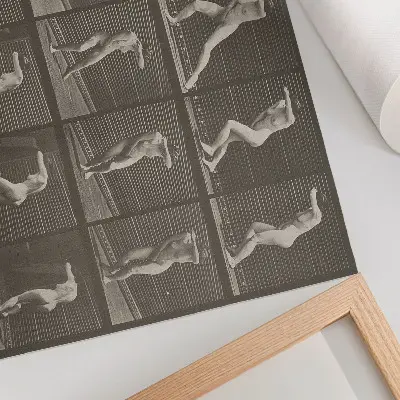 Eadweard Muybridge Turning in surprise and fleeing 1887 poster plate number 73