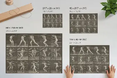Eadweard Muybridge Turning in surprise and fleeing 1887 poster plate number 73