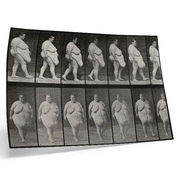 Poster obese woman walking, a phototype by Eadweard Muybridge from 1887
