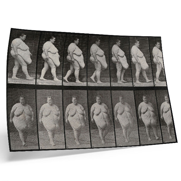 Poster Obese woman walking. Phototype after Eadweard Muybridge, 1887
