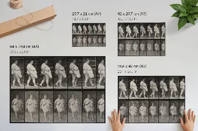 Poster obese woman walking, a phototype by Eadweard Muybridge from 1887