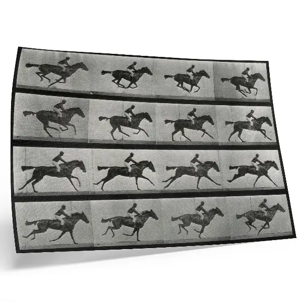 Photo canvas galloping horse and rider by Eadweard Muybridge, 1887