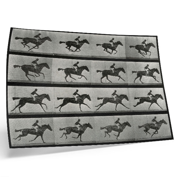 Photo canvas Galloping horse and rider. Phototype after Eadweard Muybridge, 1887