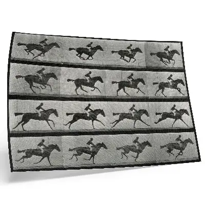 Photo canvas galloping horse and rider by Eadweard Muybridge, 1887