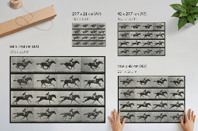 Photo canvas Galloping horse and rider. Phototype after Eadweard Muybridge, 1887