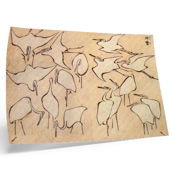 Photo canvas Katsushika Hokusai's Herons from 